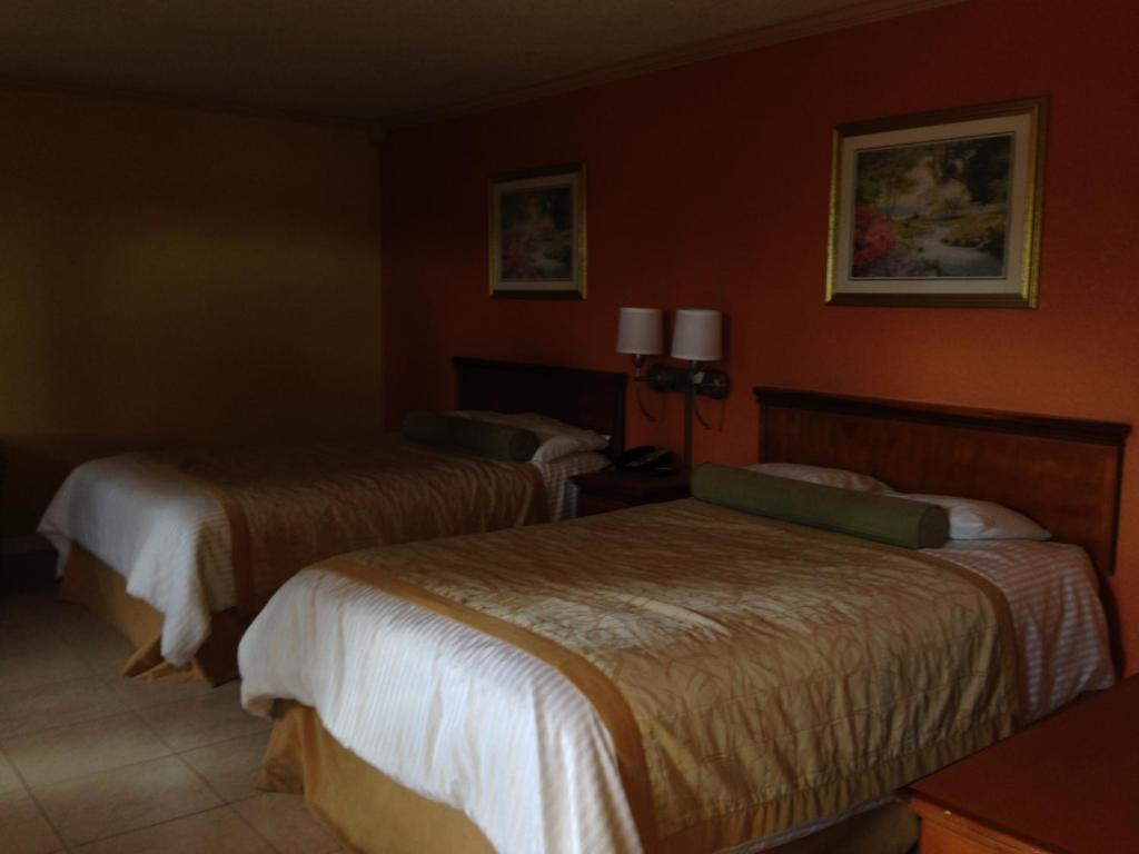 Americas Best Value Inn North Port Chambre photo